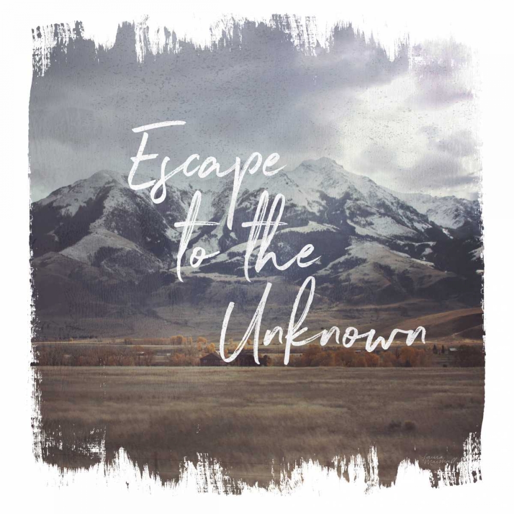 Art Print: Wild Wishes IV