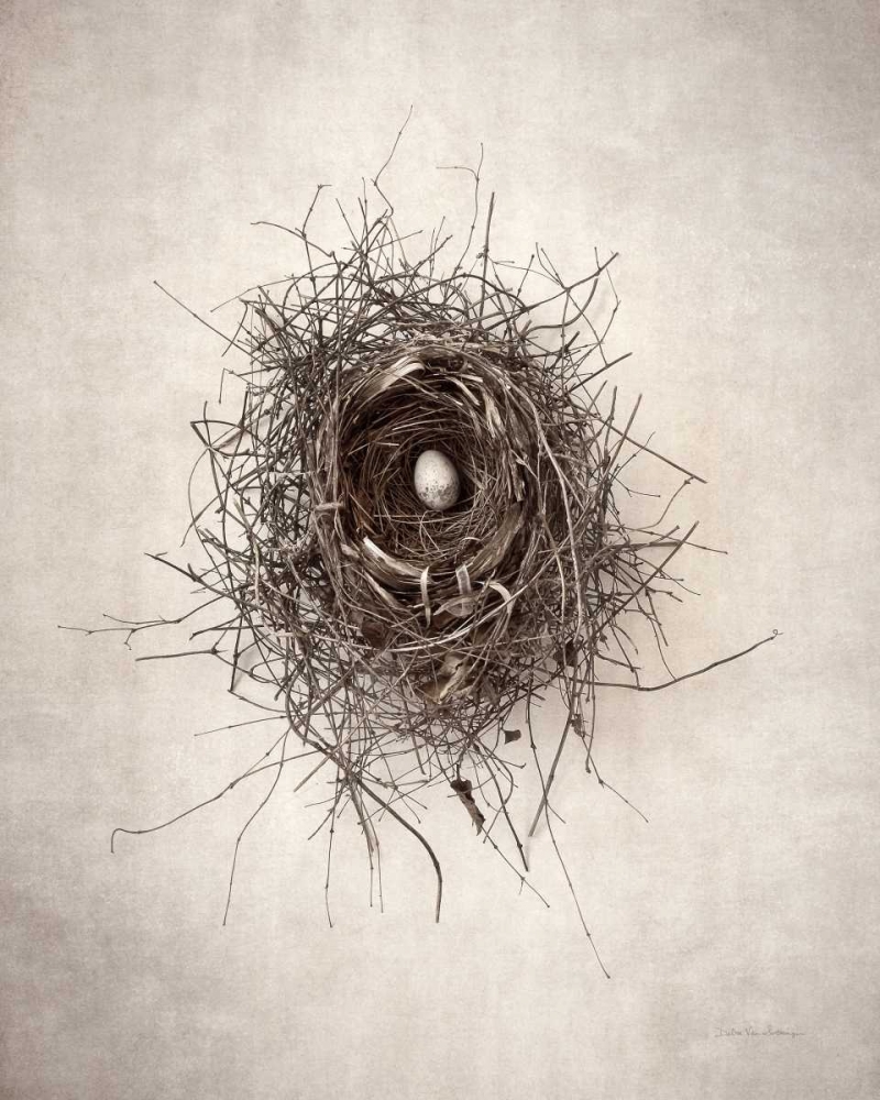 Wall Art Painting id:163645, Name: Nest I, Artist: Van Swearingen, Debra