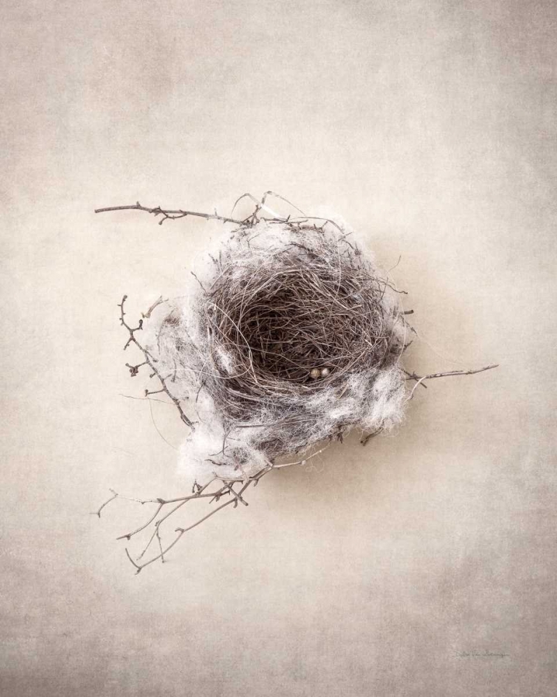 Wall Art Painting id:163647, Name: Nest III, Artist: Van Swearingen, Debra