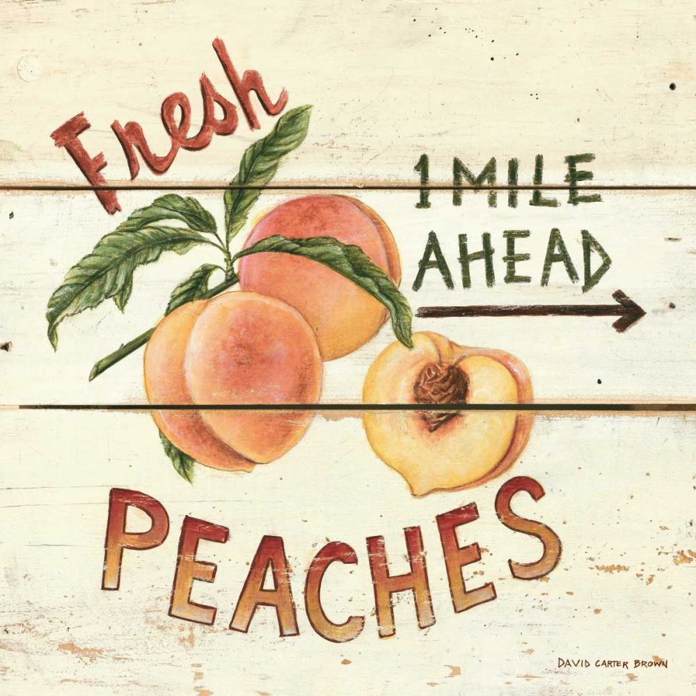 Art Print: Fresh Peaches