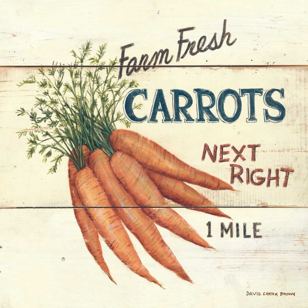 Wall Art Painting id:18310, Name: Farm Fresh Carrots, Artist: Brown, David Carter