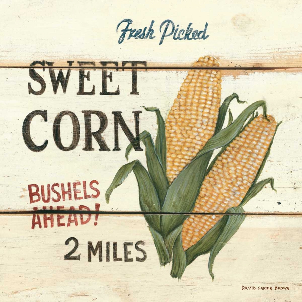 Art Print: FreshPicked Sweet Corn
