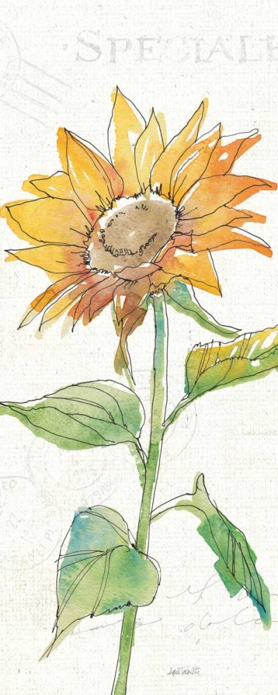 Wall Art Painting id:163595, Name: Tuscan Elegance VI, Artist: Tavoletti, Anne