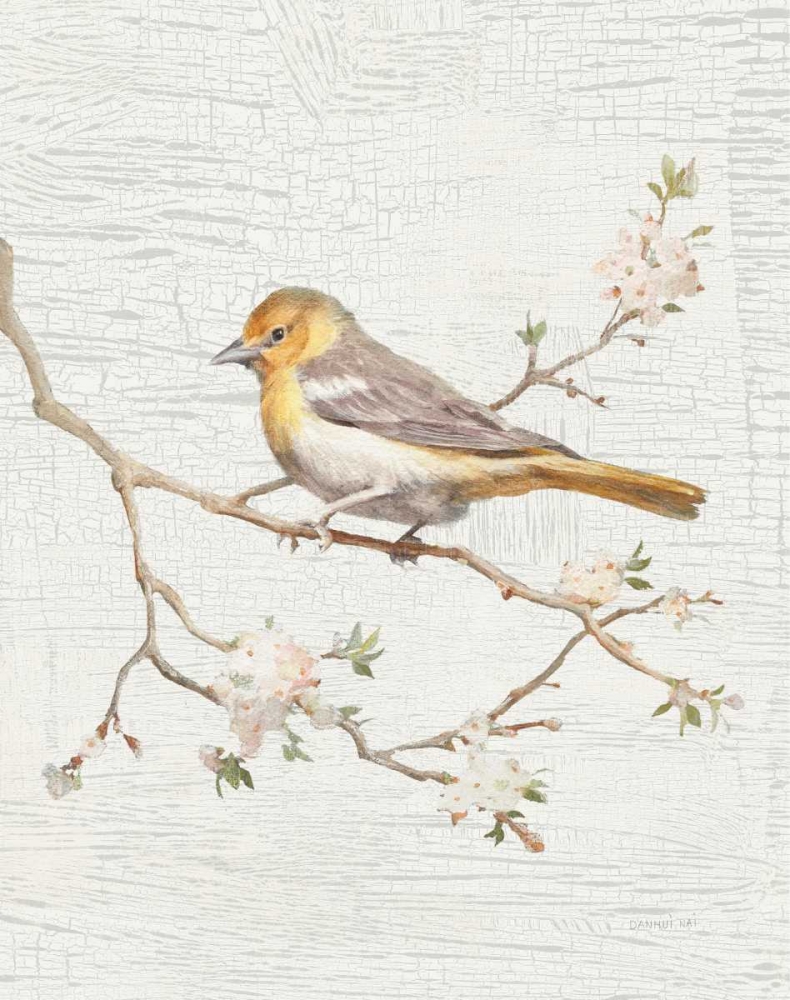 Wall Art Painting id:175090, Name: Northern Oriole Vintage v2, Artist: Nai, Danhui