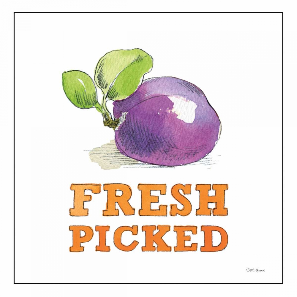 Wall Art Painting id:166813, Name: Fresh From the Garden VI No Border Sq, Artist: Grove, Beth