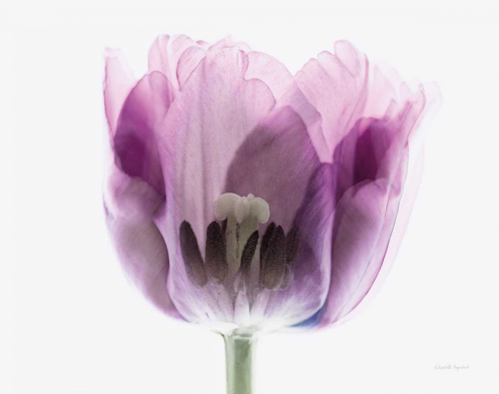 Art Print: Inside Out II