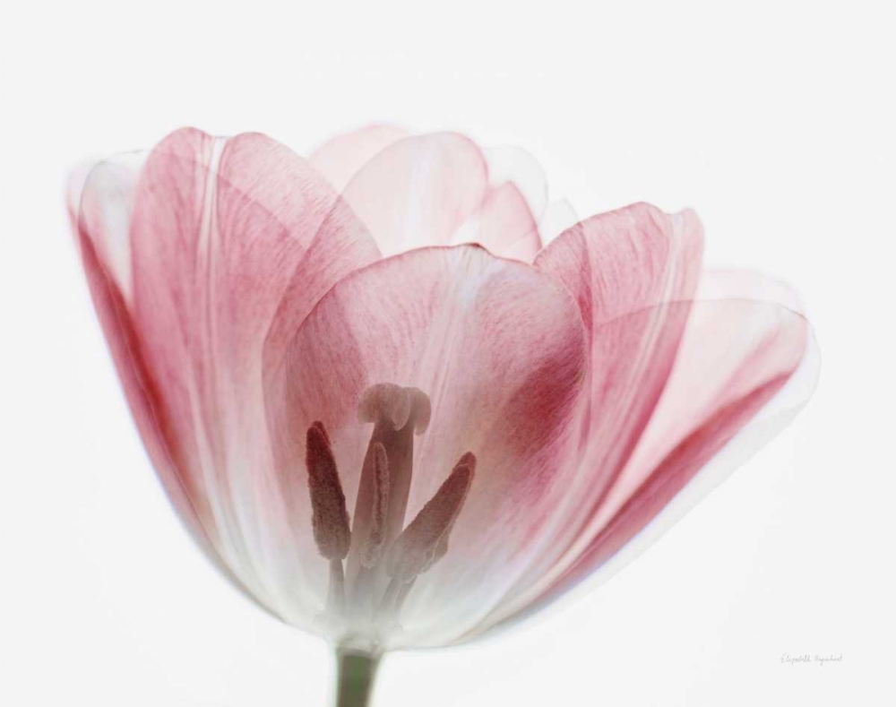 Art Print: Inside Out III