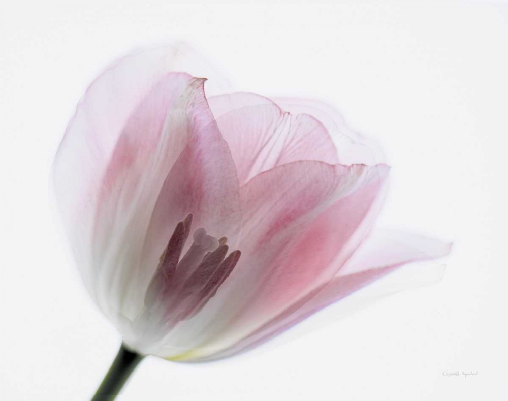 Art Print: Inside Out IV