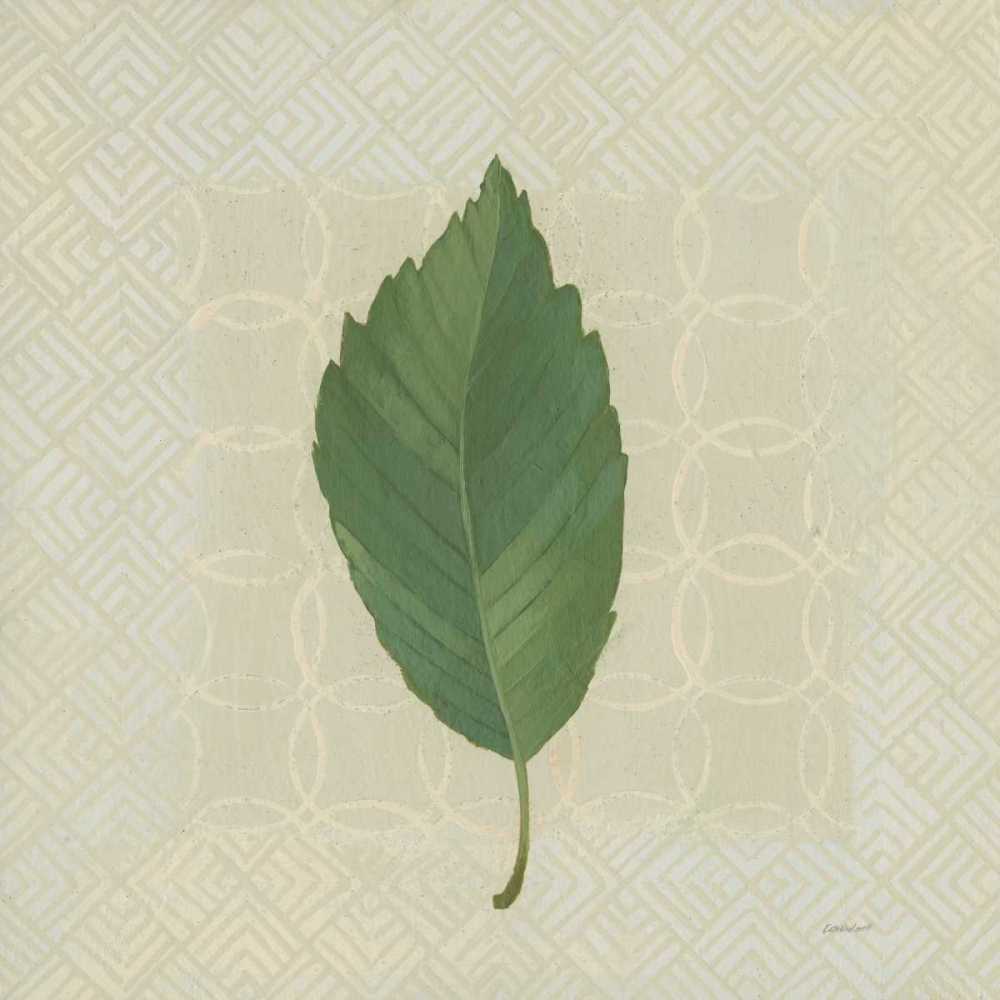 Wall Art Painting id:170690, Name: Forest Leaves III no Lines, Artist: Lovell, Kathrine