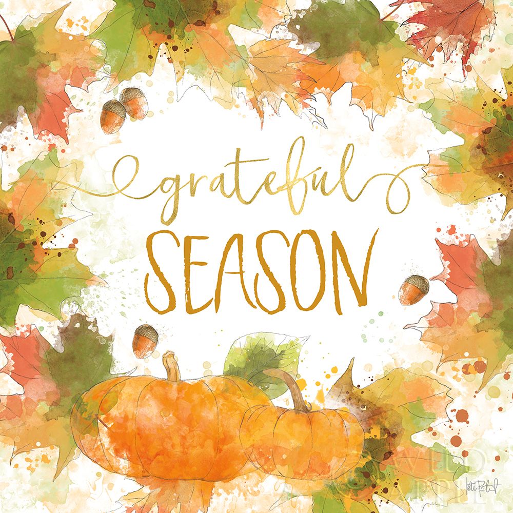 Wall Art Painting id:192630, Name: Harvest Splash II, Artist: Pertiet, Katie