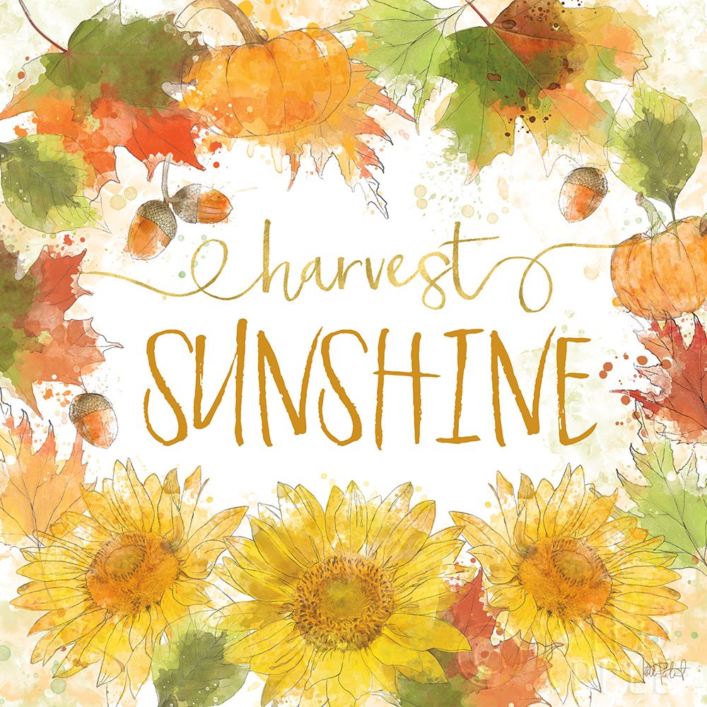 Wall Art Painting id:192632, Name: Harvest Splash III, Artist: Pertiet, Katie