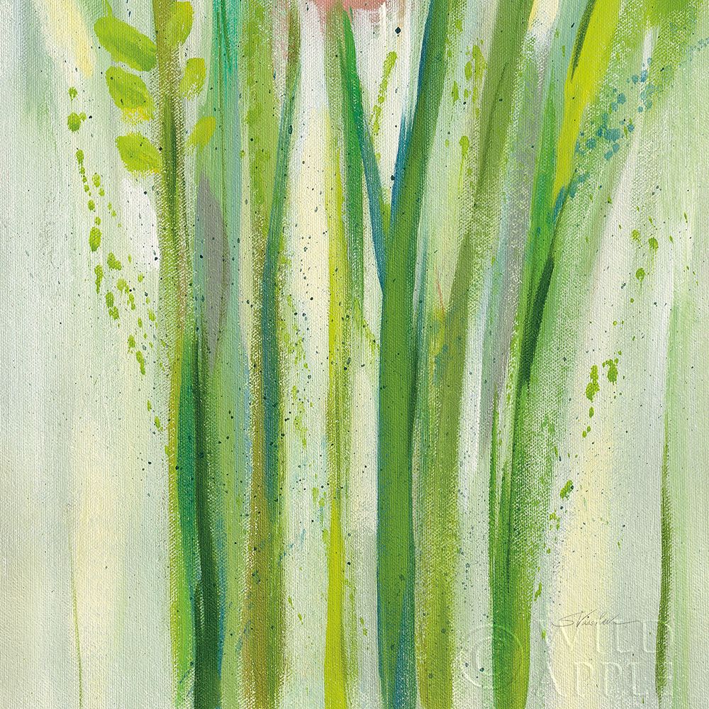 Wall art: Longstem Bouquet II Square III, by Vassileva, Silvia