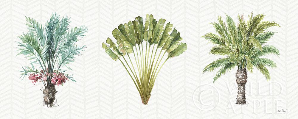 Wall Art Painting id:211690, Name: Mixed Greens XVI, Artist: Audit, Lisa