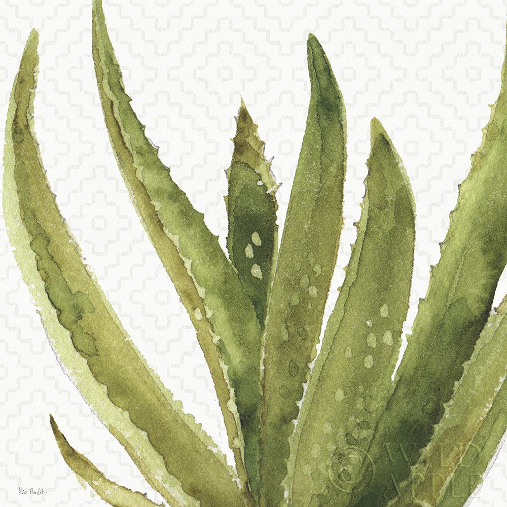 Wall art: Mixed Greens XXXVIII, by Audit, Lisa