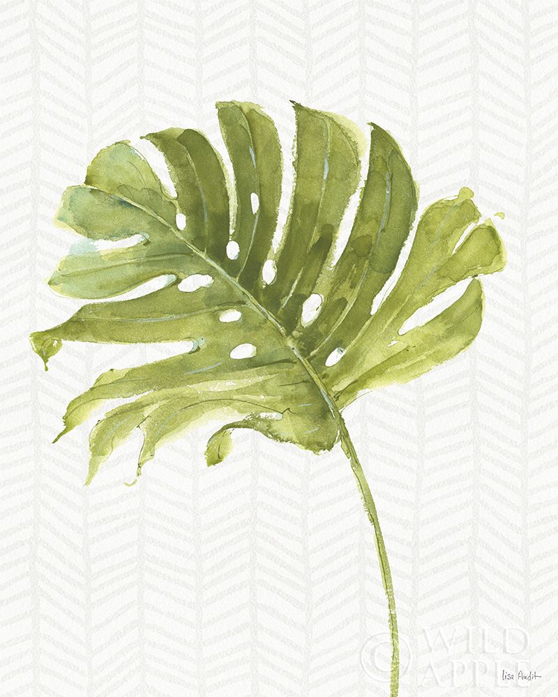 Wall Art Painting id:211643, Name: Mixed Greens LXXVII, Artist: Audit, Lisa