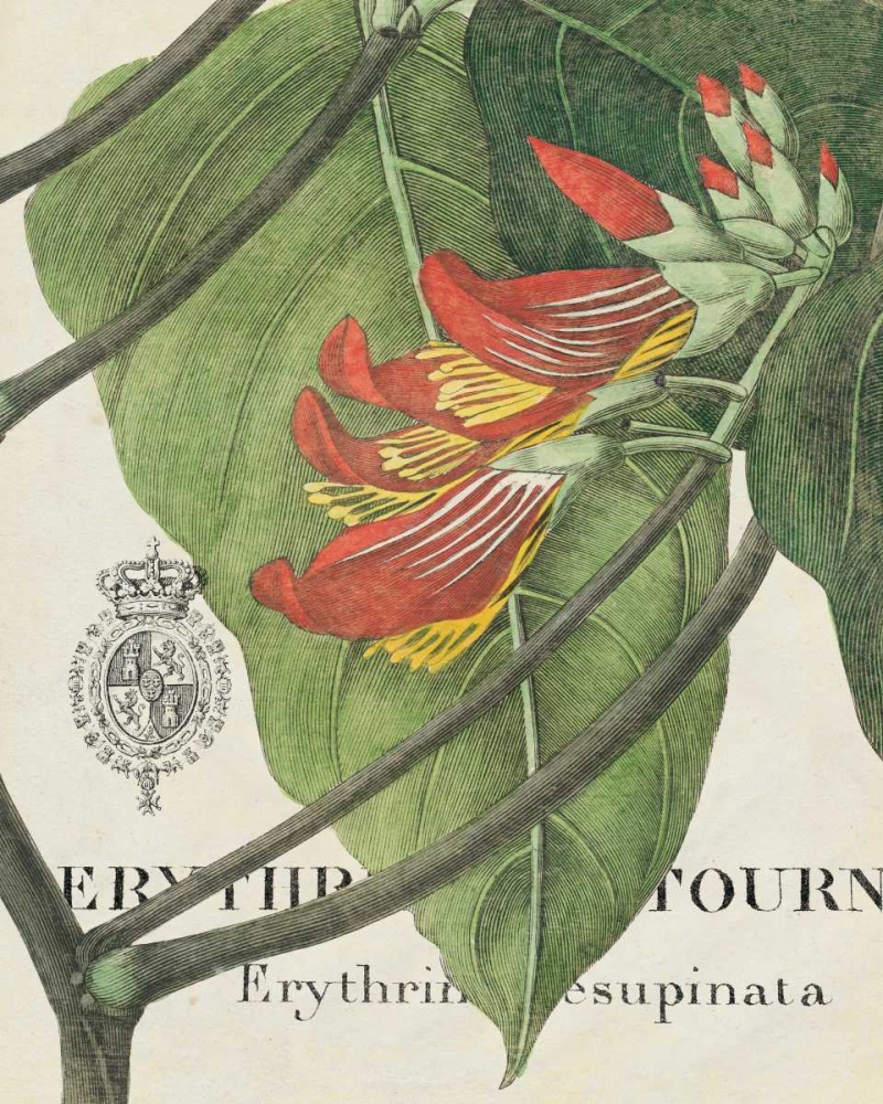 Wall Art Painting id:18525, Name: Botanique Tropicale I, Artist: Wild Apple Portfolio
