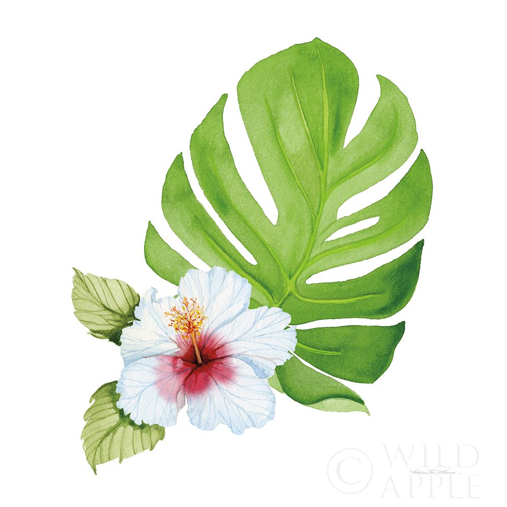 Wall Art Painting id:193343, Name: Treasures of the Tropics VIII, Artist: McKenna, Kathleen Parr