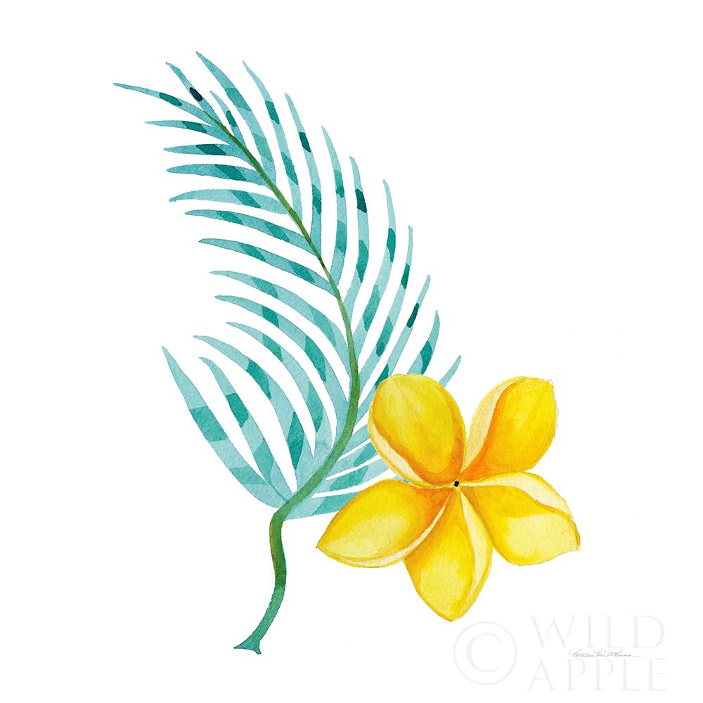 Wall Art Painting id:193344, Name: Treasures of the Tropics IX, Artist: McKenna, Kathleen Parr