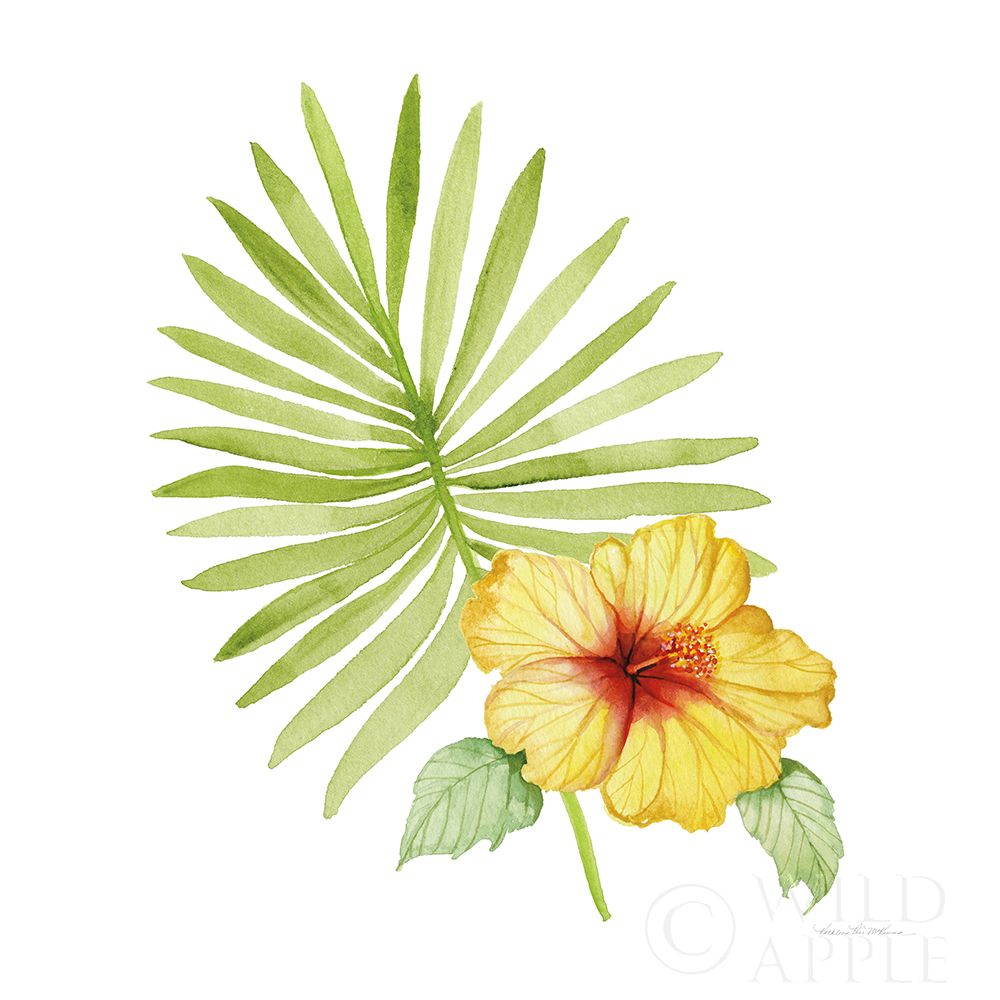 Wall Art Painting id:193346, Name: Treasures of the Tropics XI, Artist: McKenna, Kathleen Parr