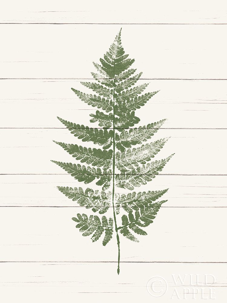 Art Print: Fern Print I
