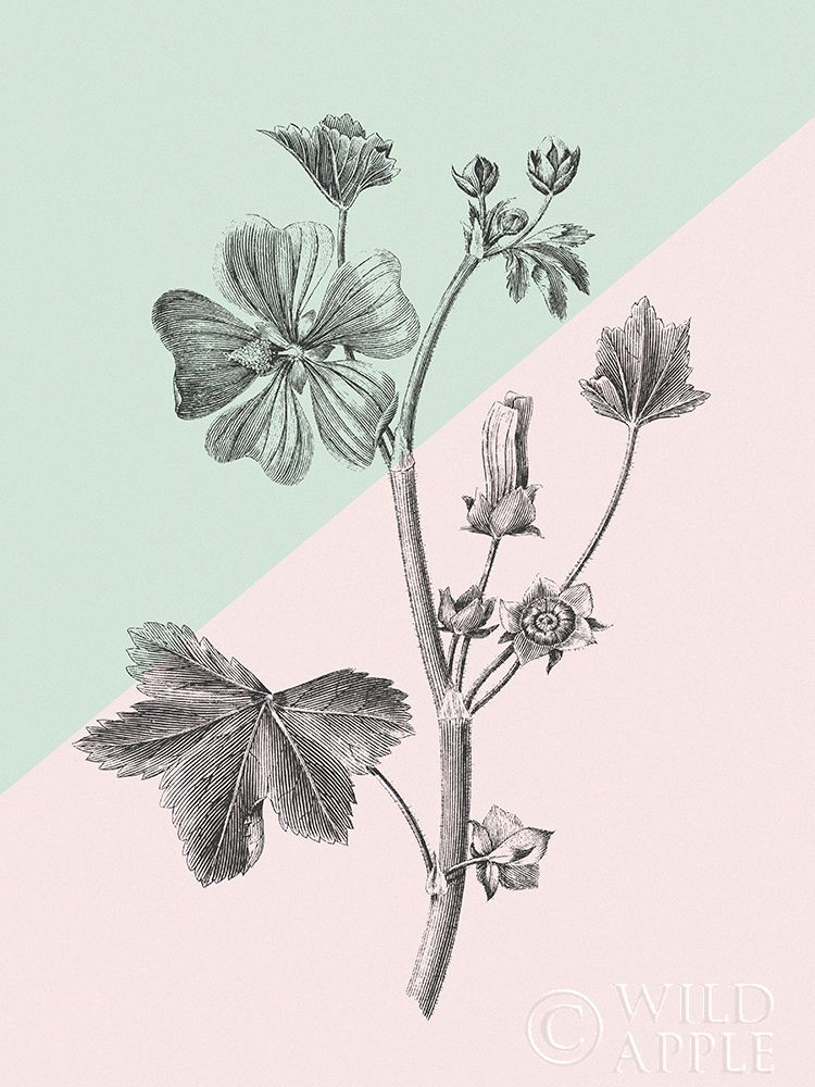 Art Print: Conversations on Botany VII Color Block