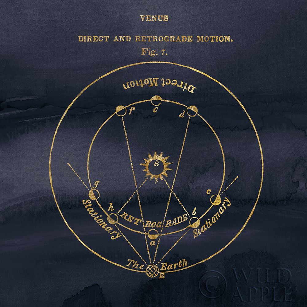 Wall Art Painting id:195262, Name: Geography of the Heavens IX Blue Gold, Artist: Wild Apple Portfolio