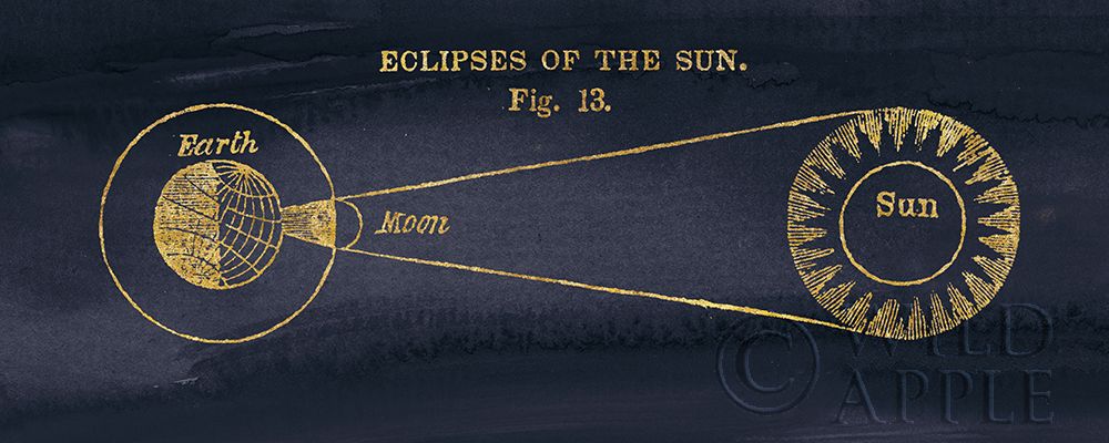 Wall Art Painting id:195266, Name: Geography of the Heavens III Blue Gold, Artist: Wild Apple Portfolio