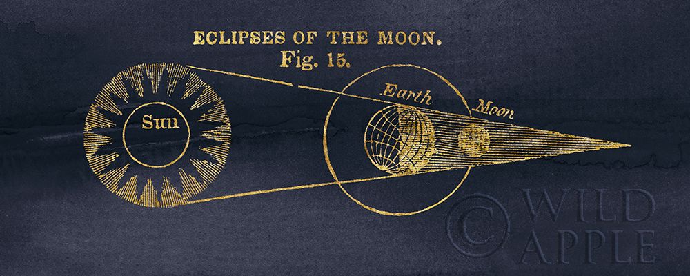 Wall Art Painting id:195265, Name: Geography of the Heavens IV Blue Gold, Artist: Wild Apple Portfolio