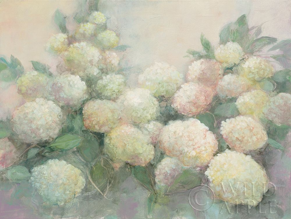 Wall Art Painting id:211464, Name: Annabelle Hydrangeas, Artist: Purinton, Julia
