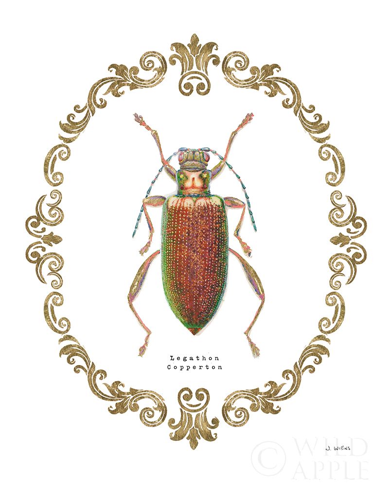 Wall Art Painting id:195055, Name: Adorning Coleoptera VI, Artist: Wiens, James