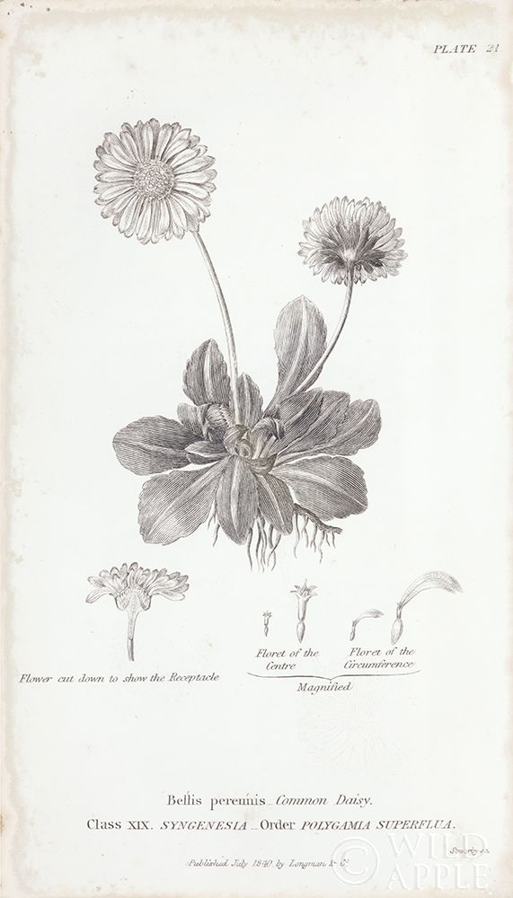 Similar wall art painting: 199368