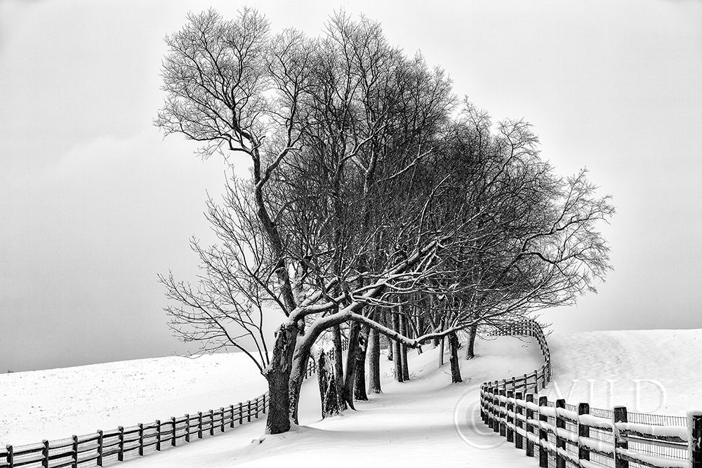 Similar wall art painting: 194969