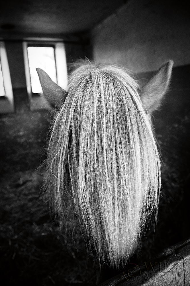 Similar wall art painting: 201709