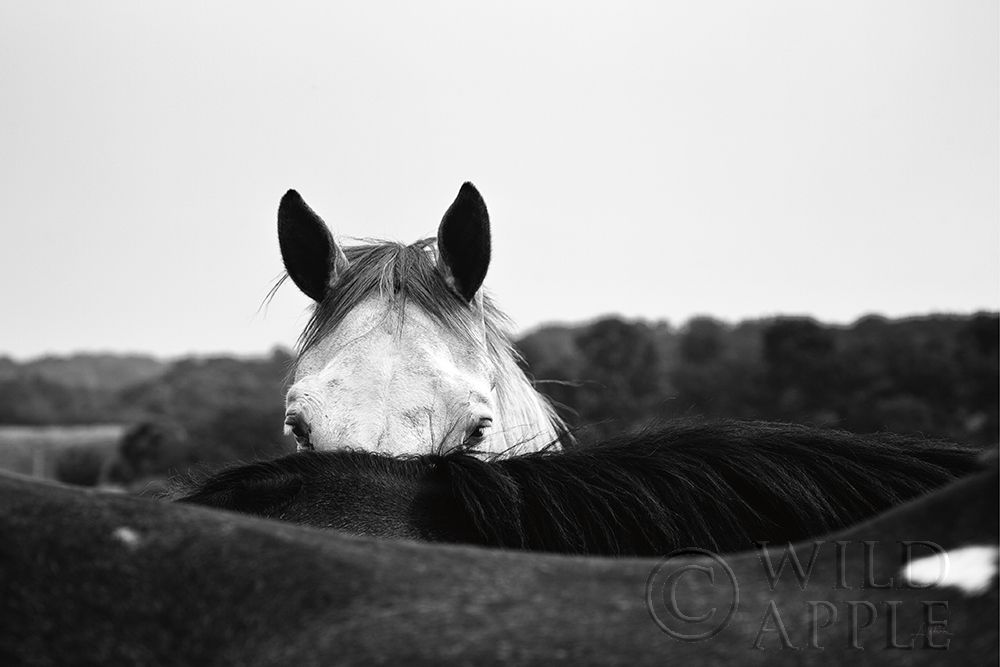 Similar wall art painting: 194894