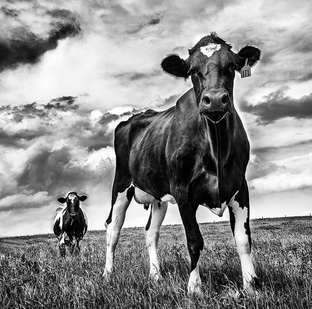 Art Print: Waiting BW