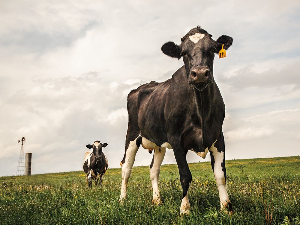 Art Print: Waiting Color