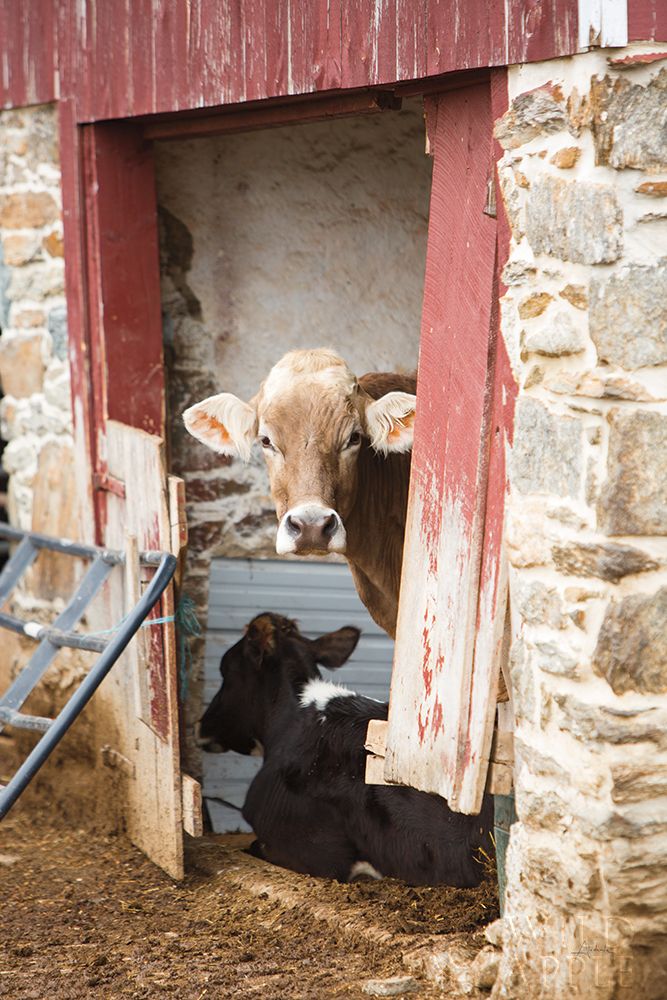 Similar wall art painting: 194901