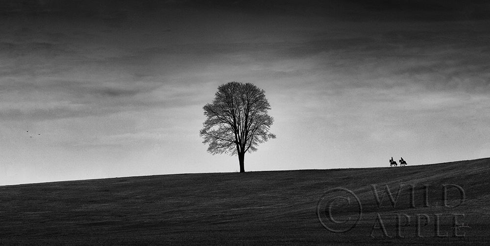 Art Print: In the Distance