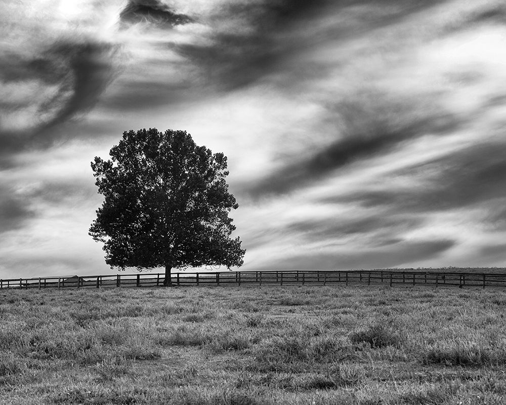 Art Print: Majestic Crop