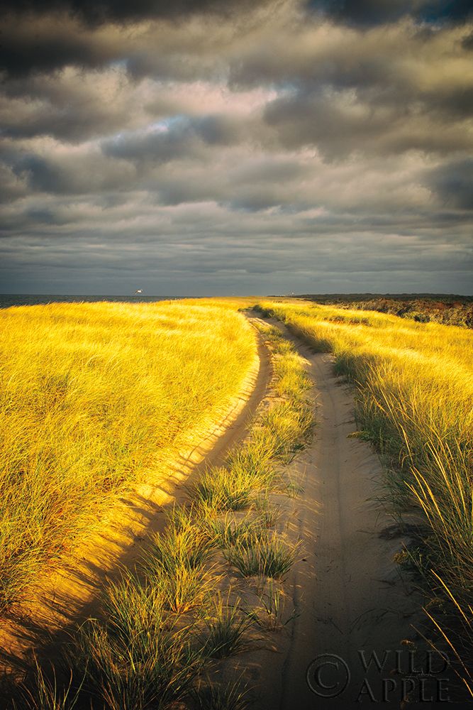 Wall art: Down the Road, by Aledanda