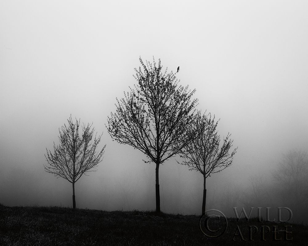 Art Print: In the Fog Crop