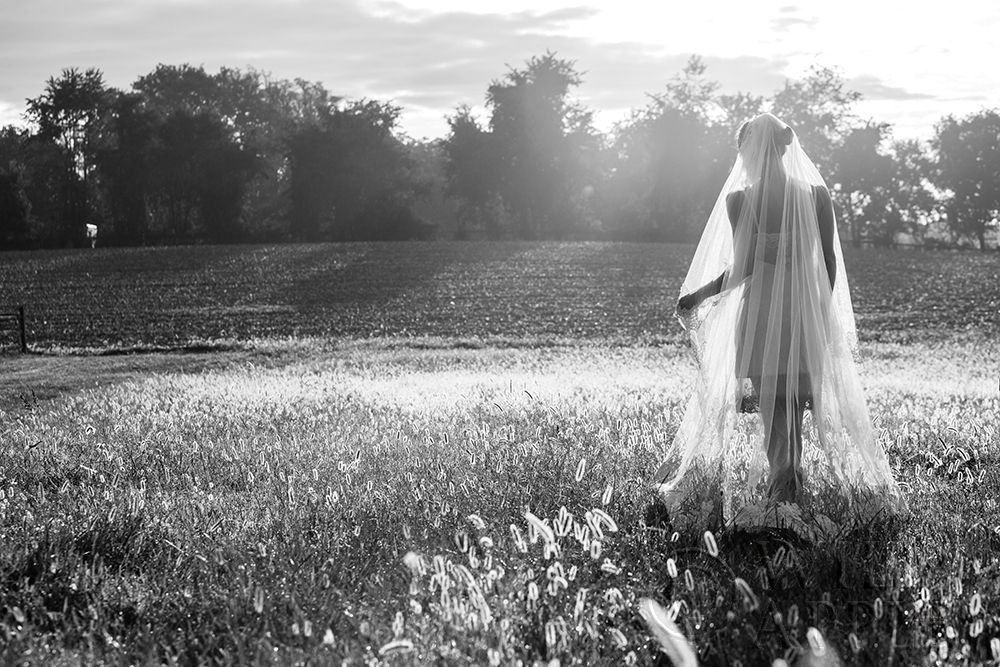 Art Print: Dressing Up