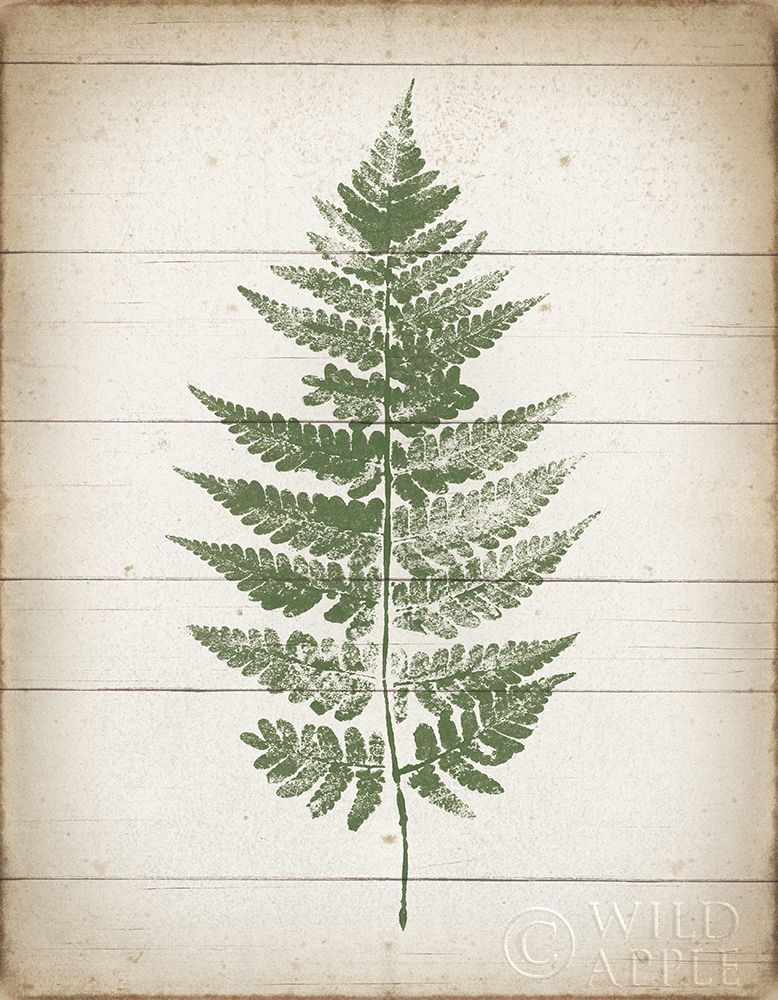 Art Print: Fern Print I v2