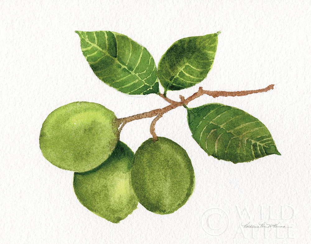 Art Print: Citrus Garden II