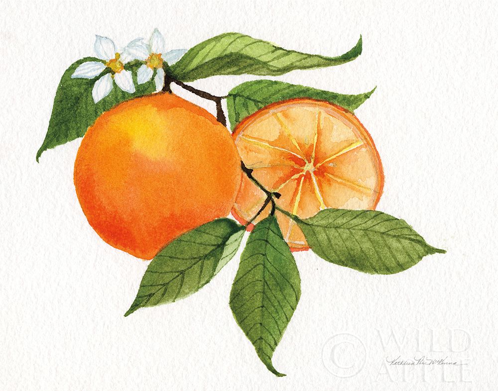 Art Print: Citrus Garden V