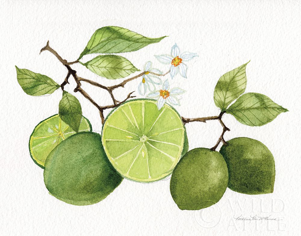 Art Print: Citrus Garden VII
