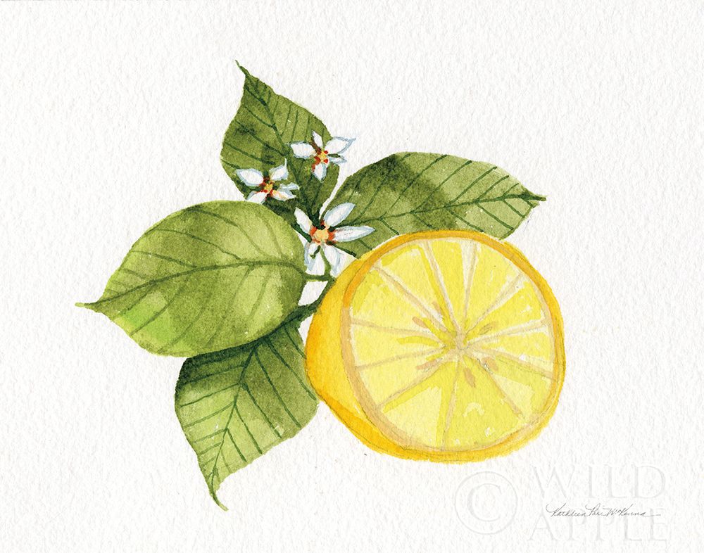 Art Print: Citrus Garden IX