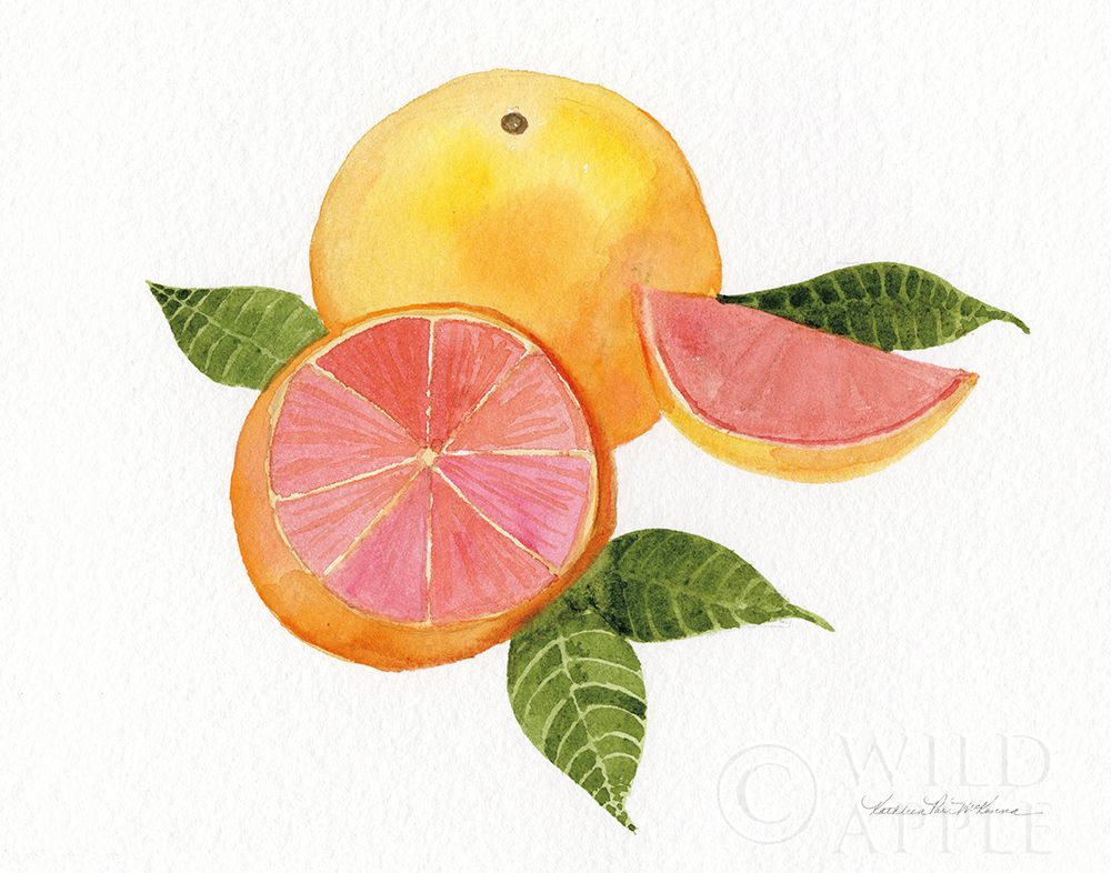Art Print: Citrus Garden X