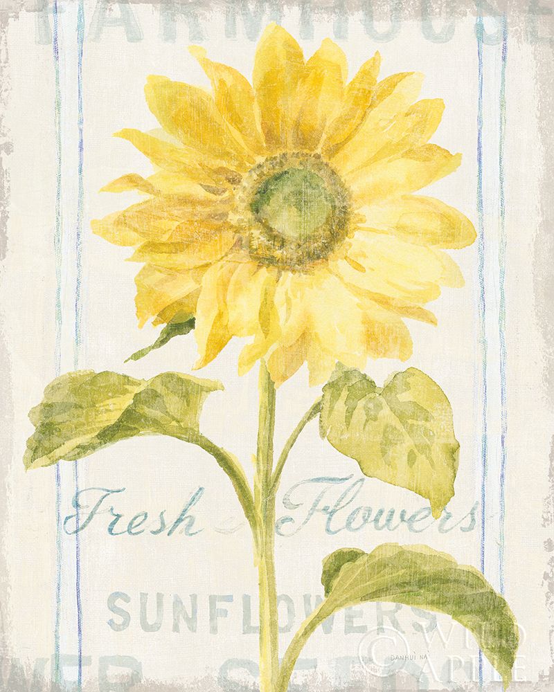 Wall Art Painting id:211455, Name: Floursack Florals II, Artist: Nai, Danhui