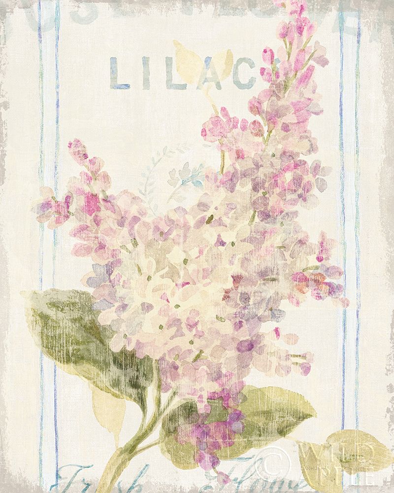 Art Print: Floursack Florals V